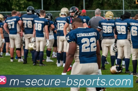 B体育平台生态图